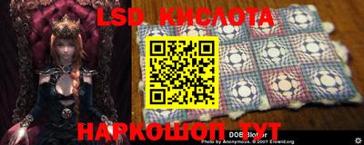 крисы Донецк