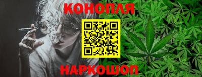 крисы Донецк