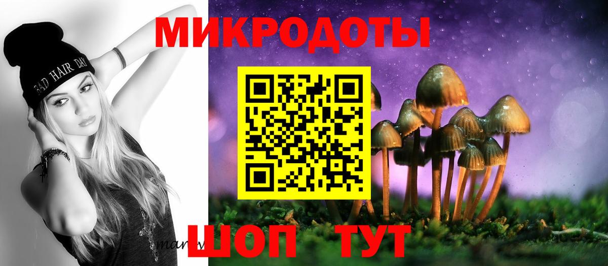 Курчалой  Галлюциногенные грибы прущие грибы  Вход с VPN  Псилоцибиновые грибы MAGIC MUSHROOMS 
